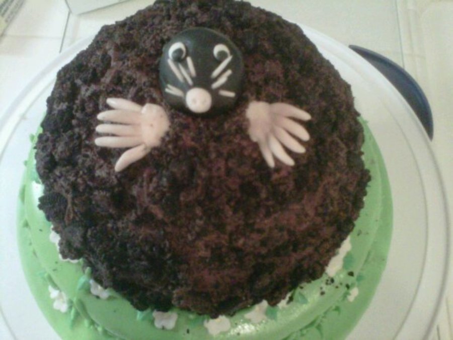 Mole Cake For National Mole Day Chemistry Class Cakecentral Com