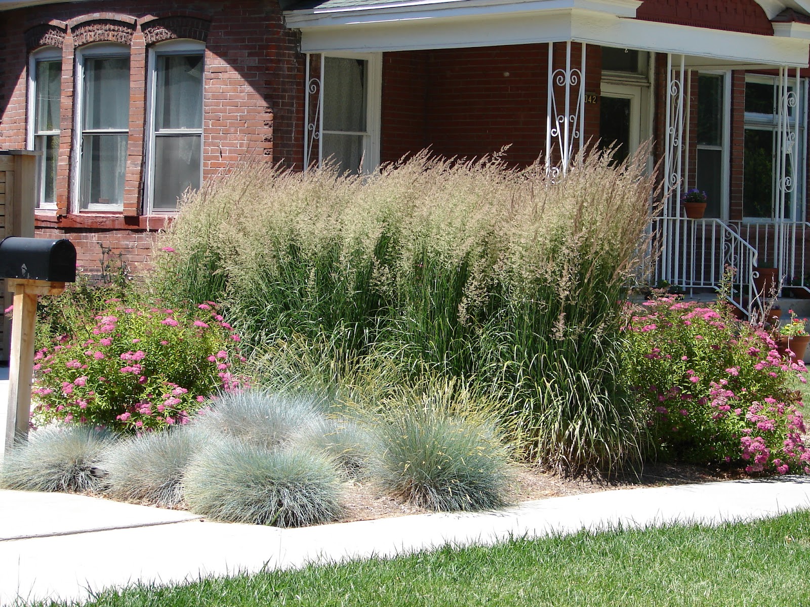 New Utah Gardener Waterwise Ornamental Grasses