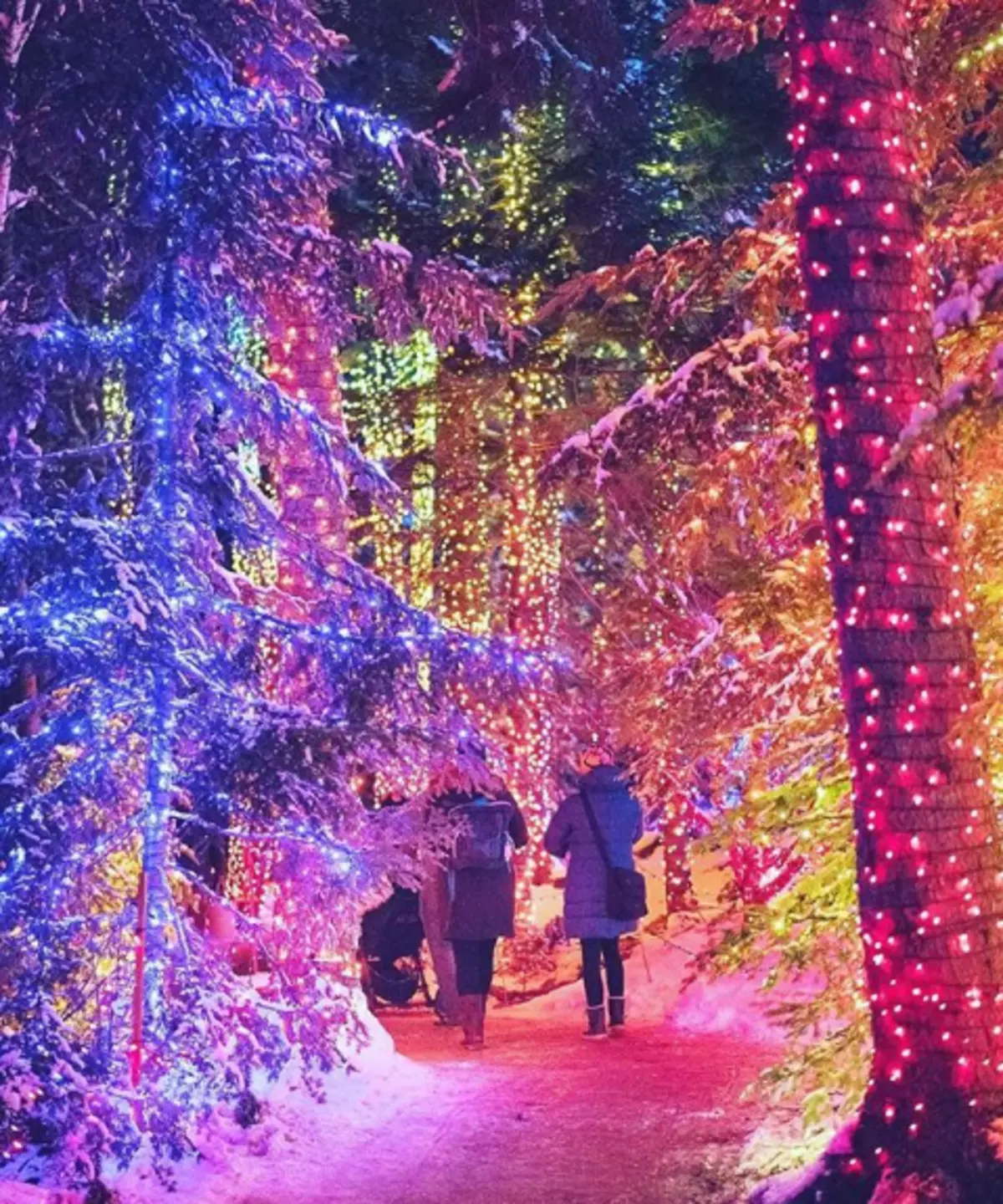 One Of The United States Best Christmas Light Displays In Maine