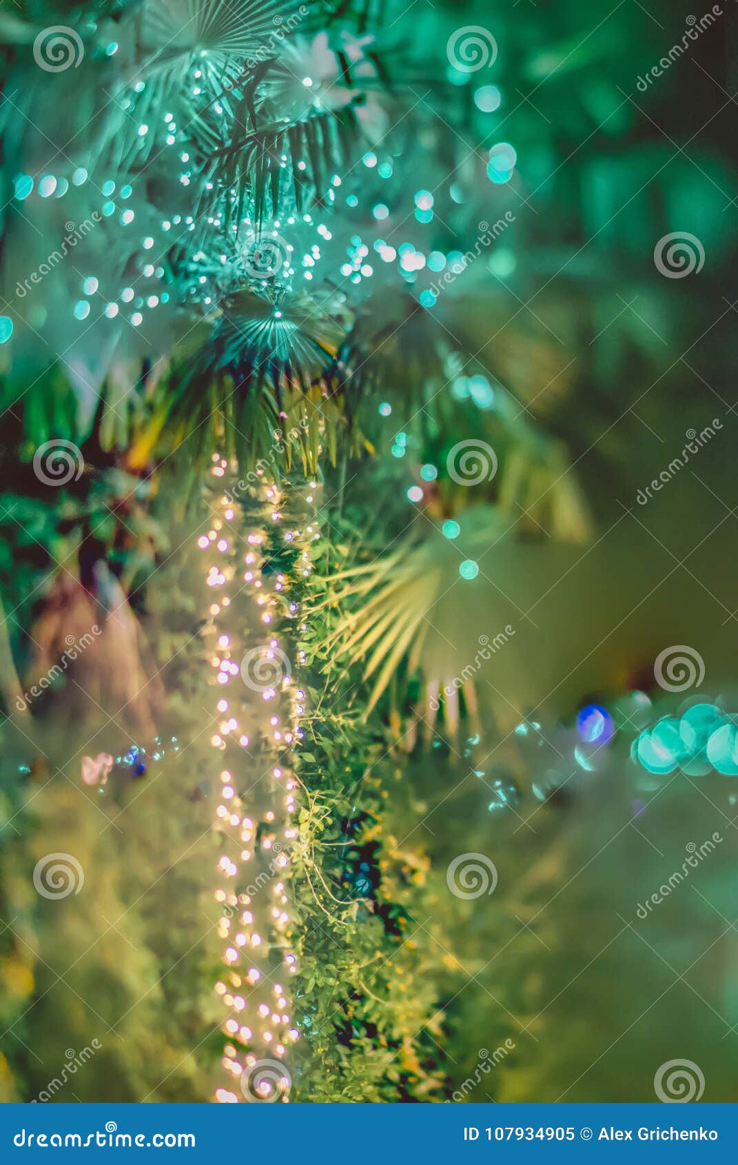 Palm Trees Decorated With Christmas Lights In Gardens Photograph By