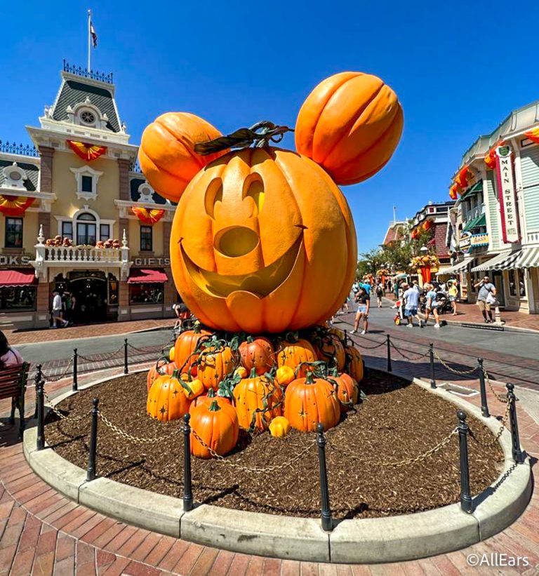 Photos The Most Iconic Disney Halloween Decoration Has Arrived