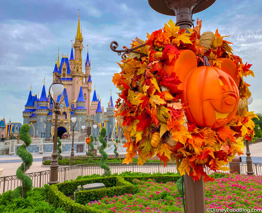 Pics The Iconic Mickey Jack O Lanterns Are Up In Magic Kingdom At Disney World Disney By Mark