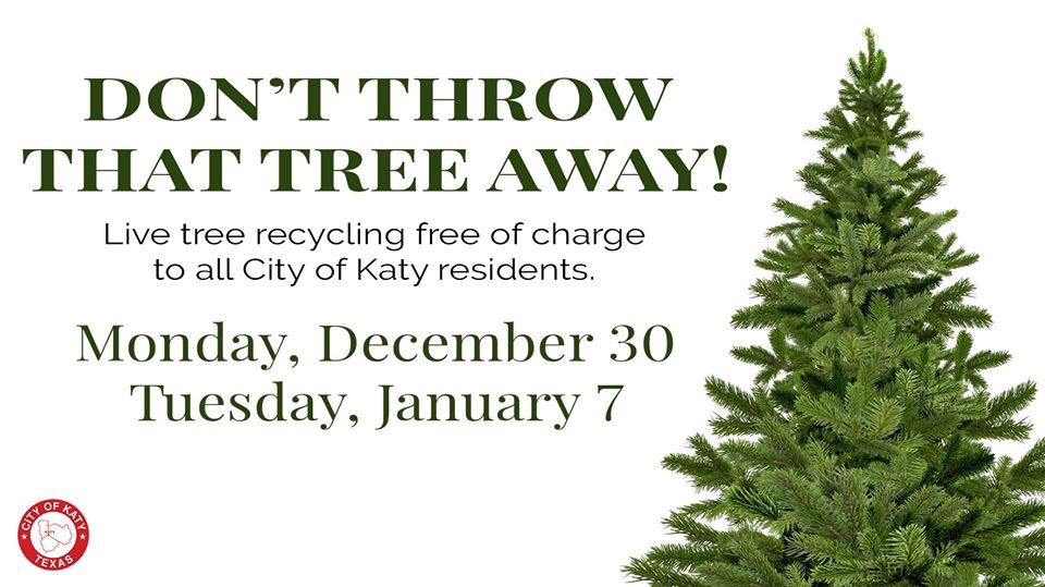 Ready To Ditch The Decorations Here Amp 39 S How You Can Recycle Your Christmas Tree In Thunder Bay