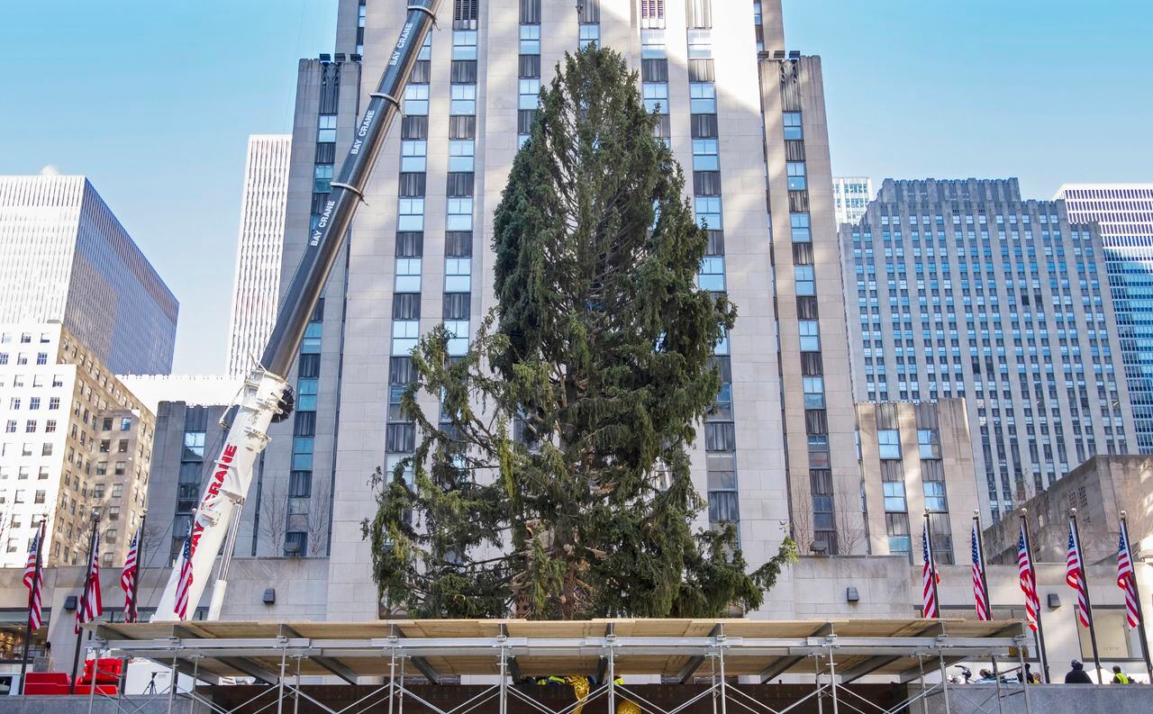 Rockefeller Christmas Tree In New York City Gets Mocked And Compared To