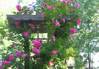 Scotch Bush Farm My Old Garden Shade Garden Living Room Using Brick