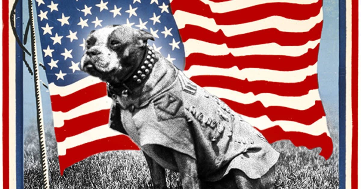 Sergeant Stubby America S Most Decorated War Dog Historyextra