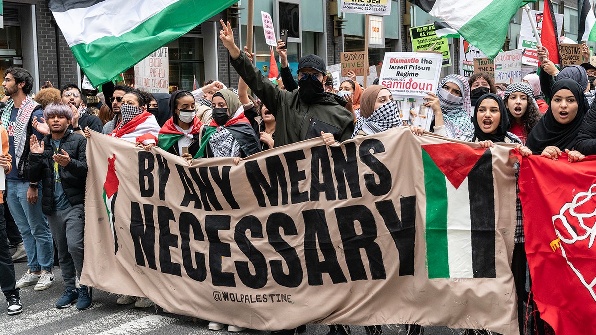 Several Arrested During Pro Palestinian Demonstration Near Rockefeller Center Tree Lighting