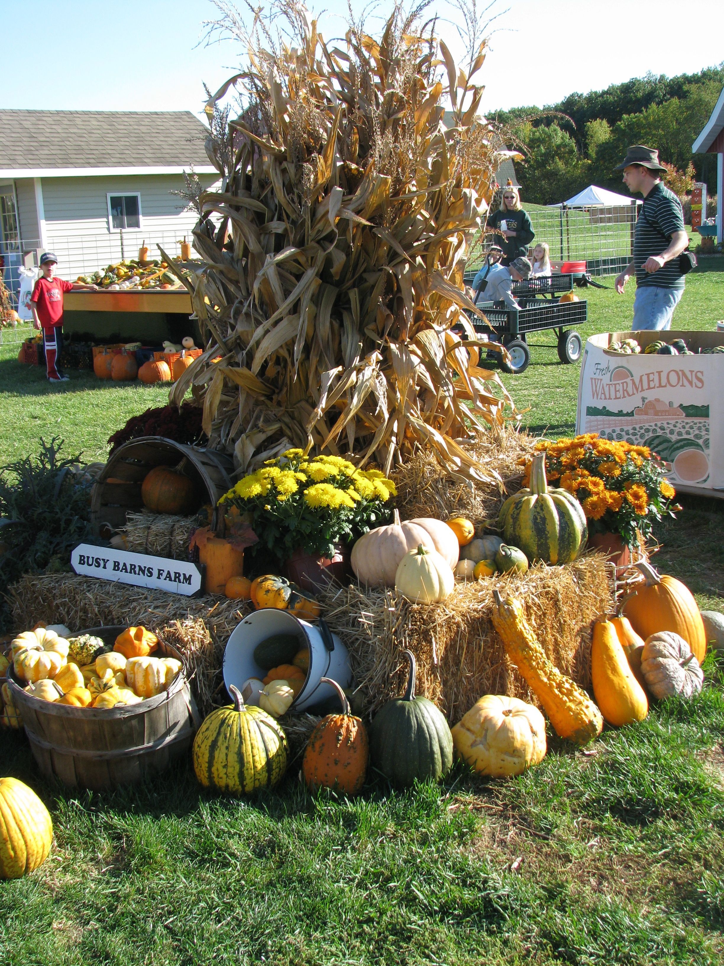 Square Hay Bale Fall Decorating Ideas Shelly Lighting