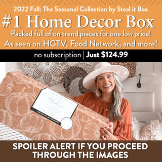 Steal It Box By Decor Steals Fall 2022 You Won Amp 39 T Believe What They Put Inside Youtube