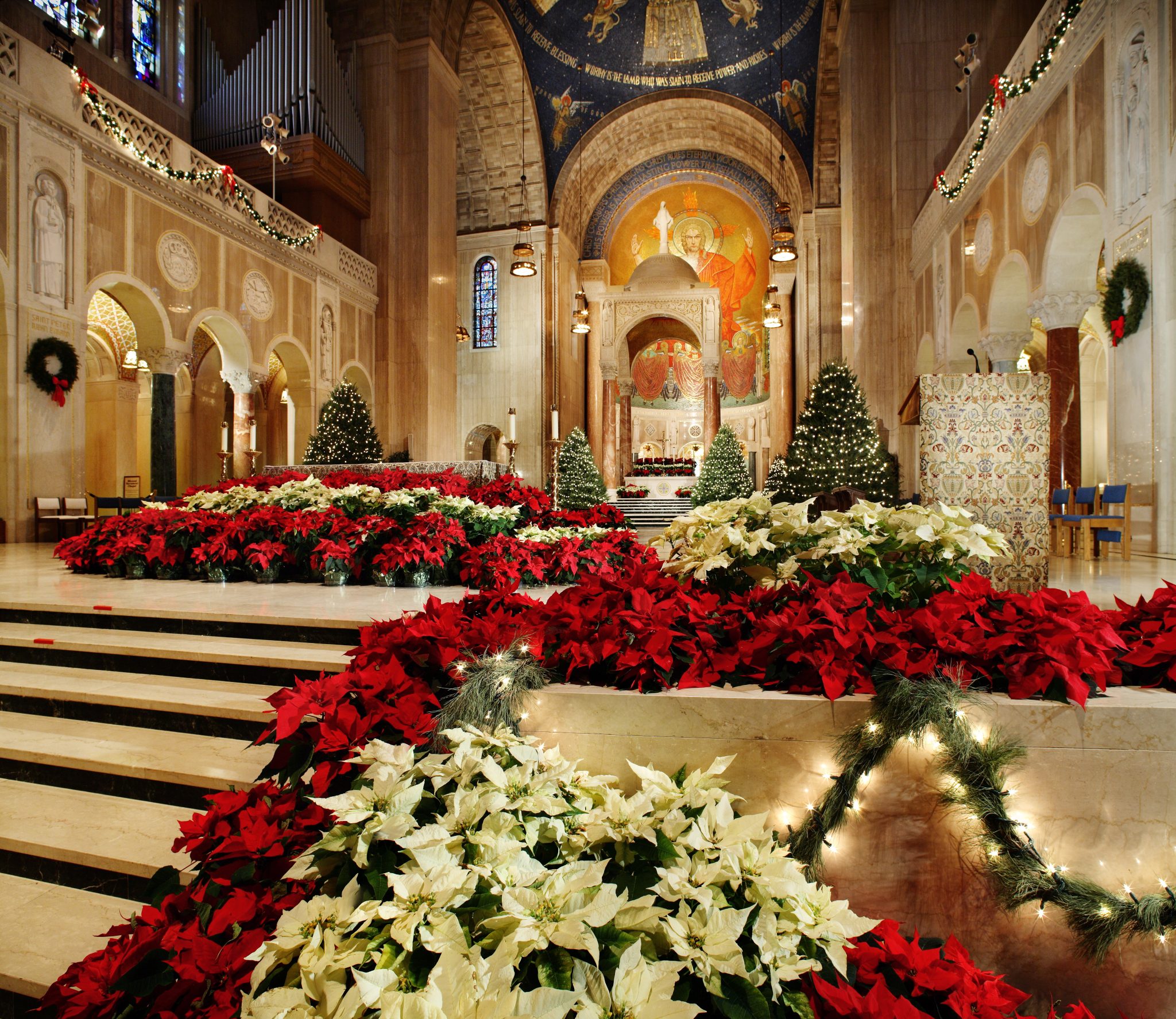 Take The Quiz 10 Christmas Facts You Should Know National Shrine Of