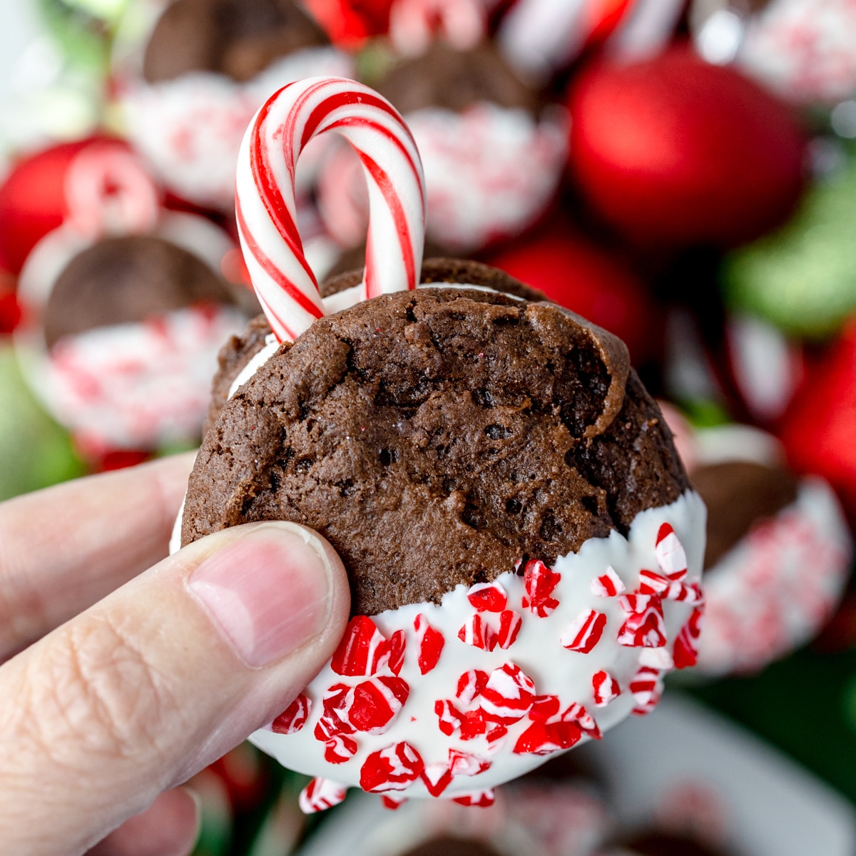 The 11 Best Cookie Decorating Supplies The Eleven Best Cookie Recipes Cookie Decorating