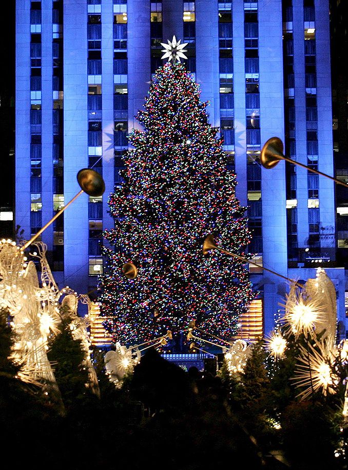 The 2019 Rockefeller Center Christmas Tree Chosen Artofit