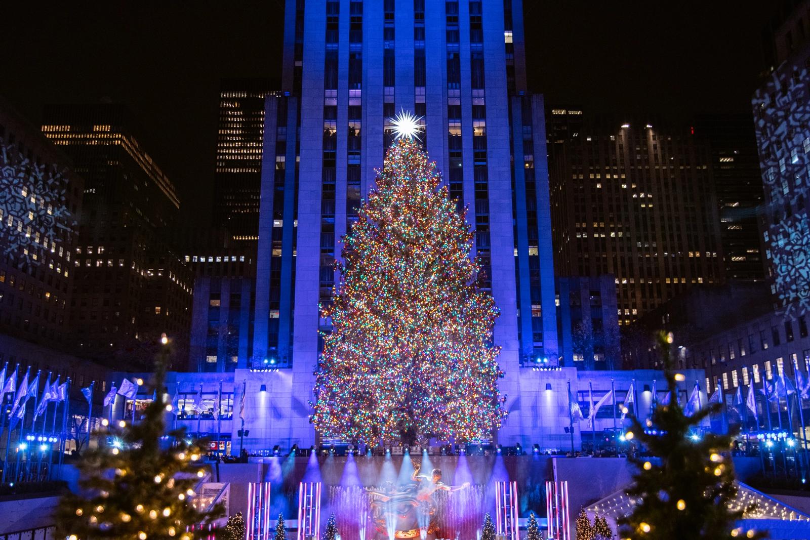 The 2019 Rockefeller Center Christmas Tree Is From Orange County New