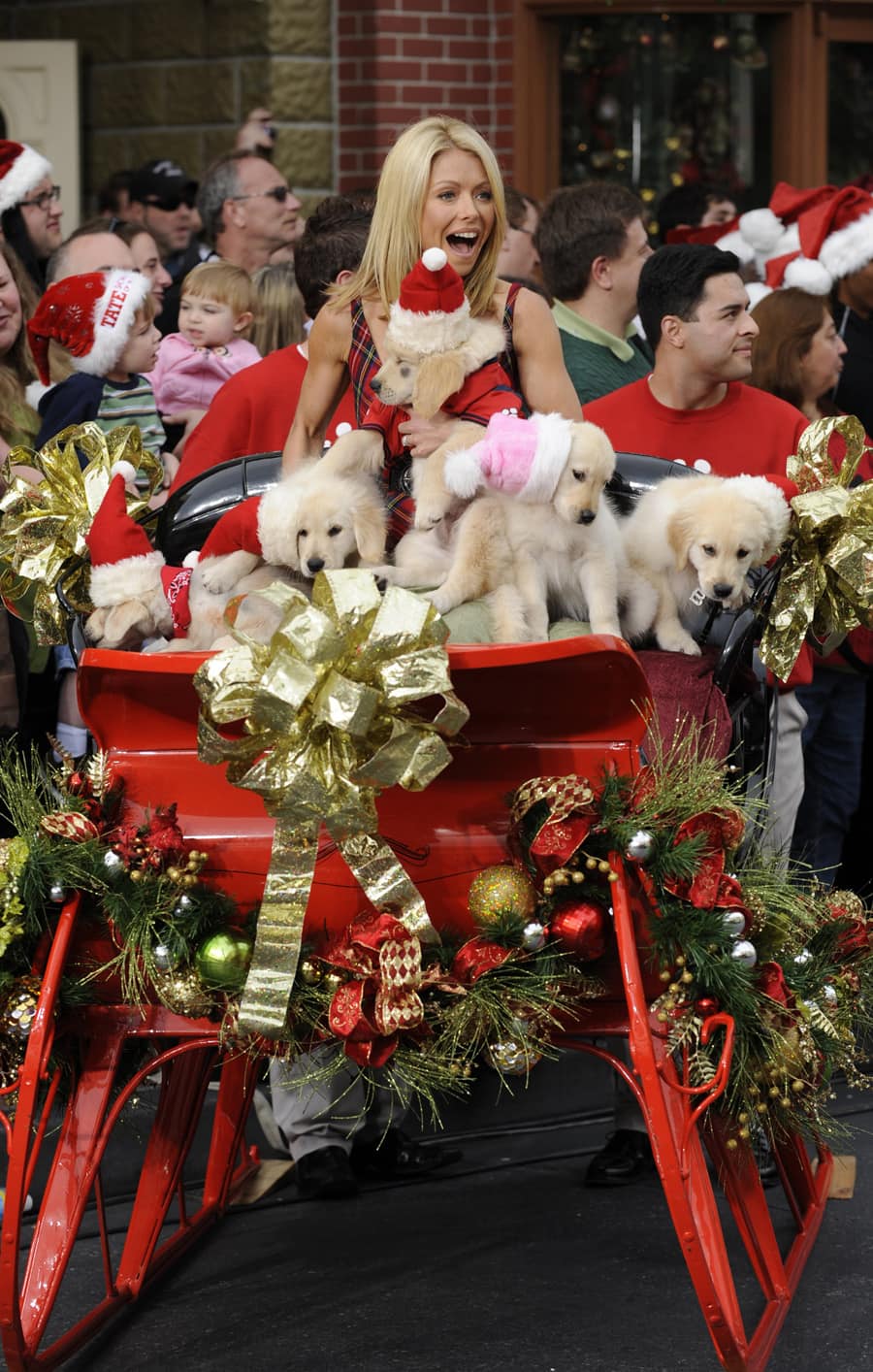 The 29Th Annual Disney Parks Christmas Day Parade Airs December 25 On The Abc Television Network