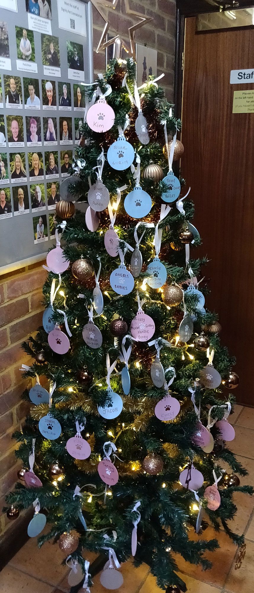 The Charity Christmas Tree Is Looking Absolutely Fabulous Today And We