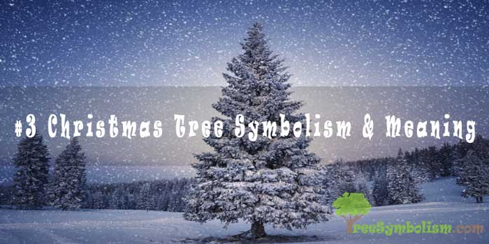 The History Of Christmas Trees Christmas Tree Symbolism