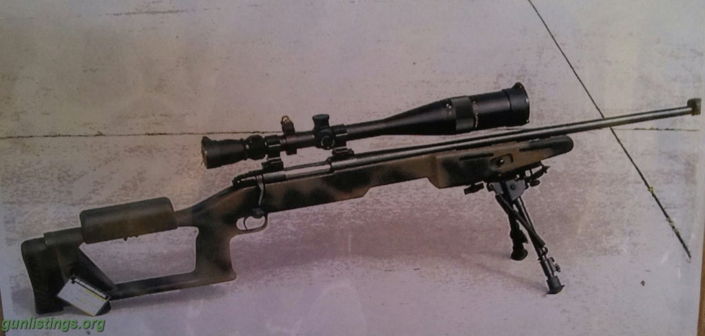 The Military Model 70 A Forgotten Sniper Rifle An Official Journal