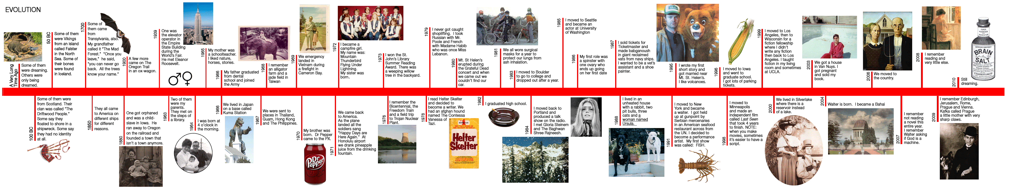 The Revolving Gallery Of Fiction Writer Holiday Reinhorn Bio Timeline