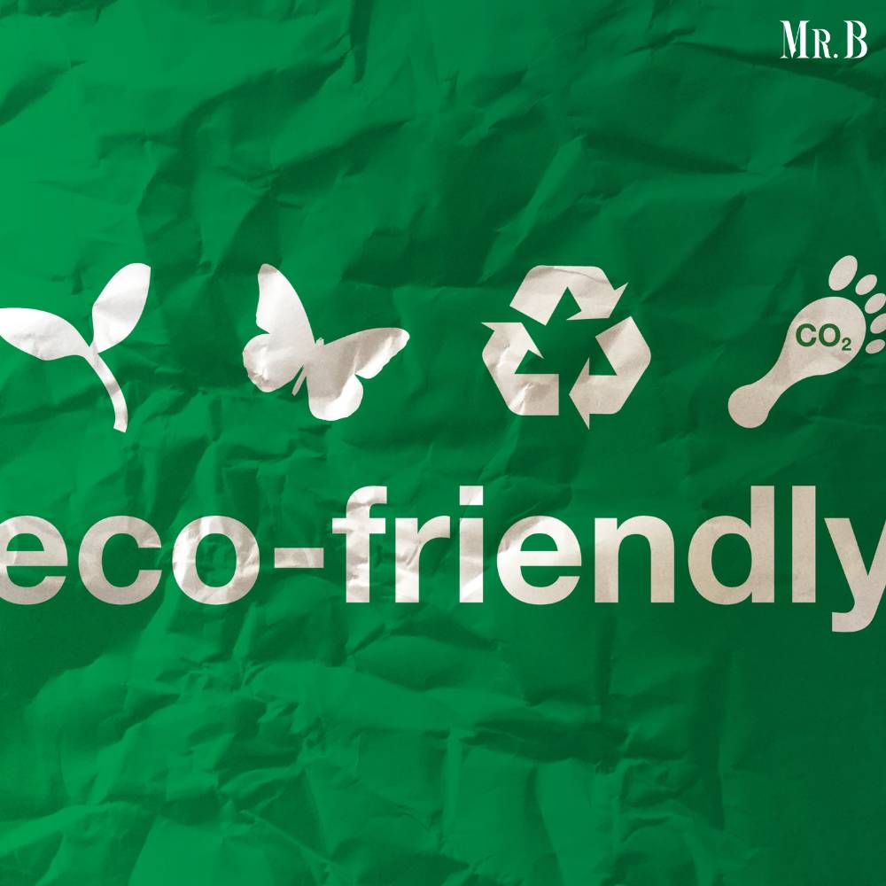 Top 10 Eco Friendly Sustainable Startup Ideas By Mr Business