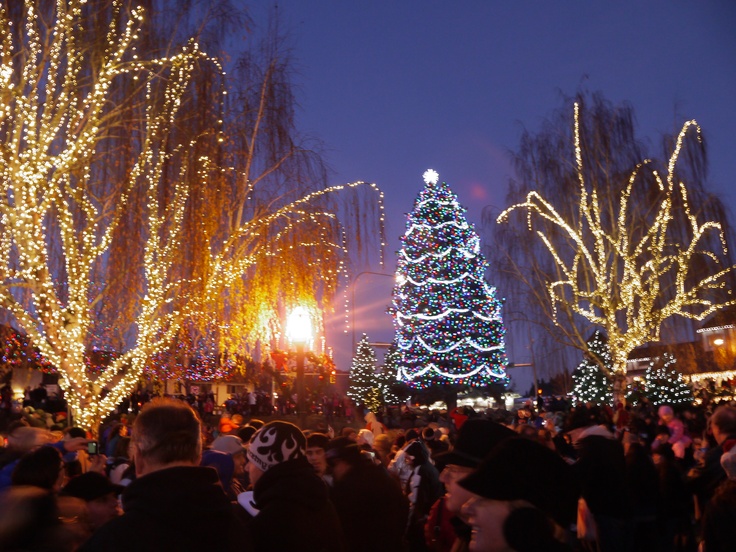 Town Lighting Ceremony In Leavenworth Wa Christmas Tree In The