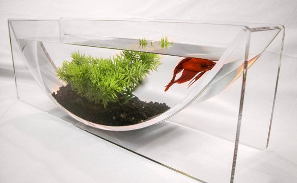 Unique Diy Fish Tanks