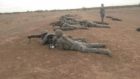 Usaf Advanced Designated Marksman Course Sniper Central