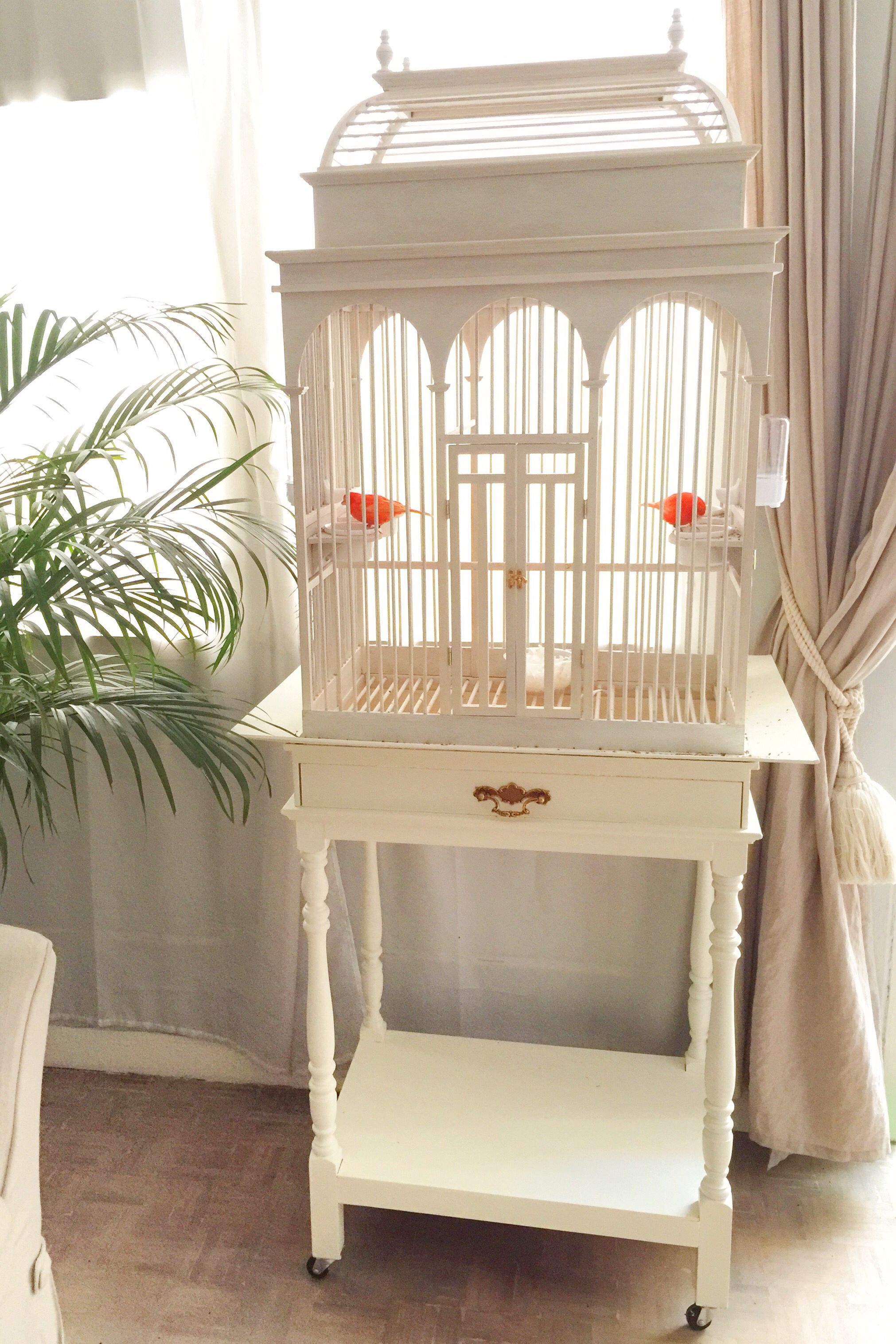 Vintage White Wood Birdcage For Red Canaries