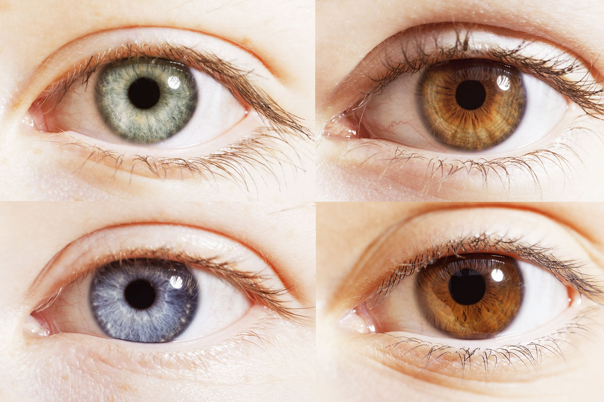 What Is The Rarest Eye Color