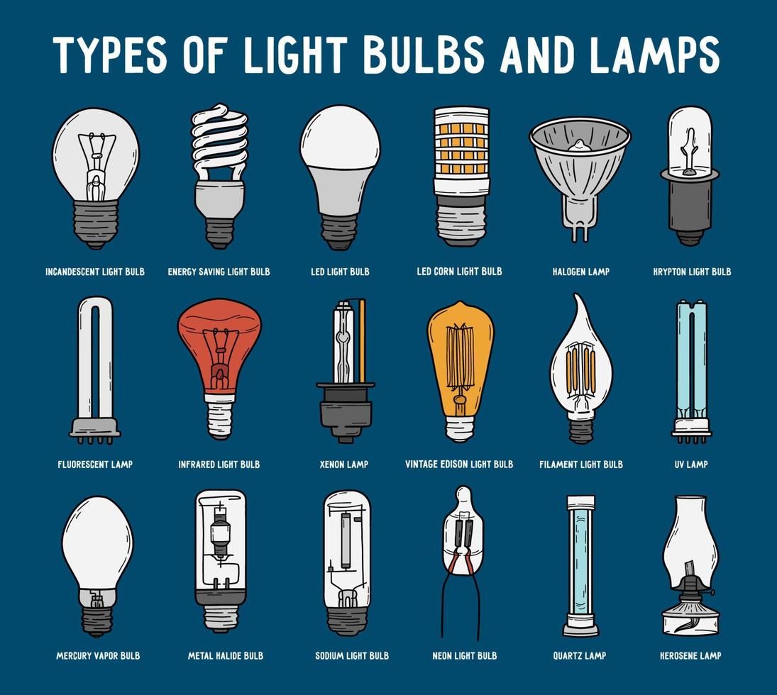 Decorative Light Bulbs: Types and Styles for Home Decor