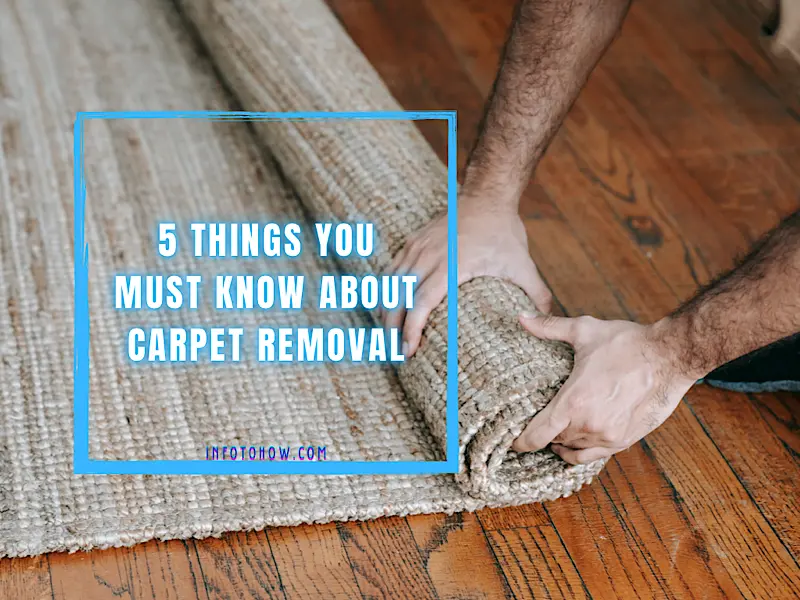 What You Need To Know About Carpet Removal Infotohow