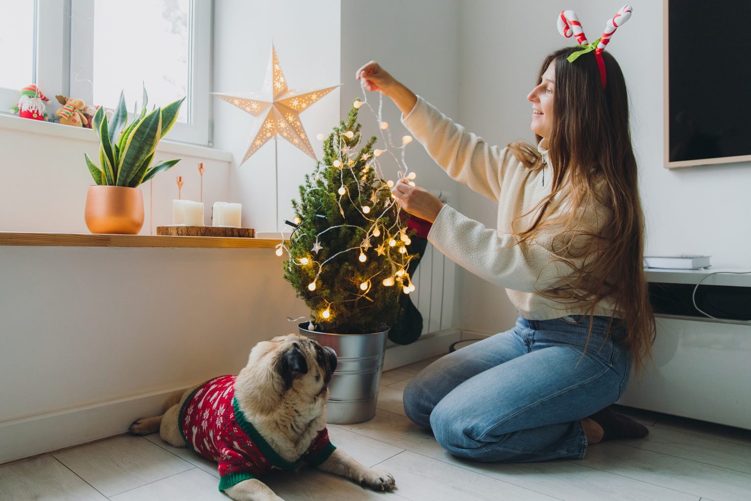 When Do Catholics Traditionally Set Up Christmas Decorations?