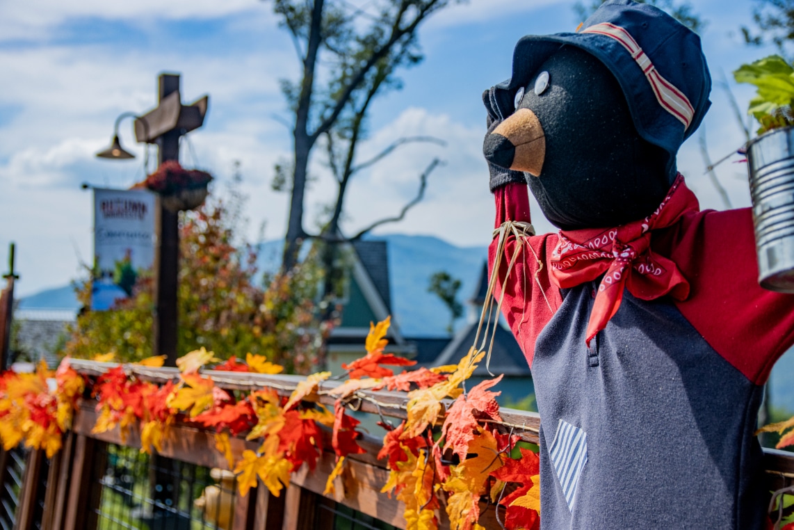 Fall Decor at Anakeesta: When to Visit for Autumn Magic