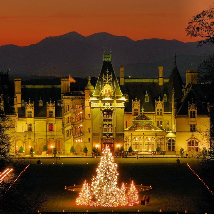 Biltmore's Christmas Decor: When to See the Magic