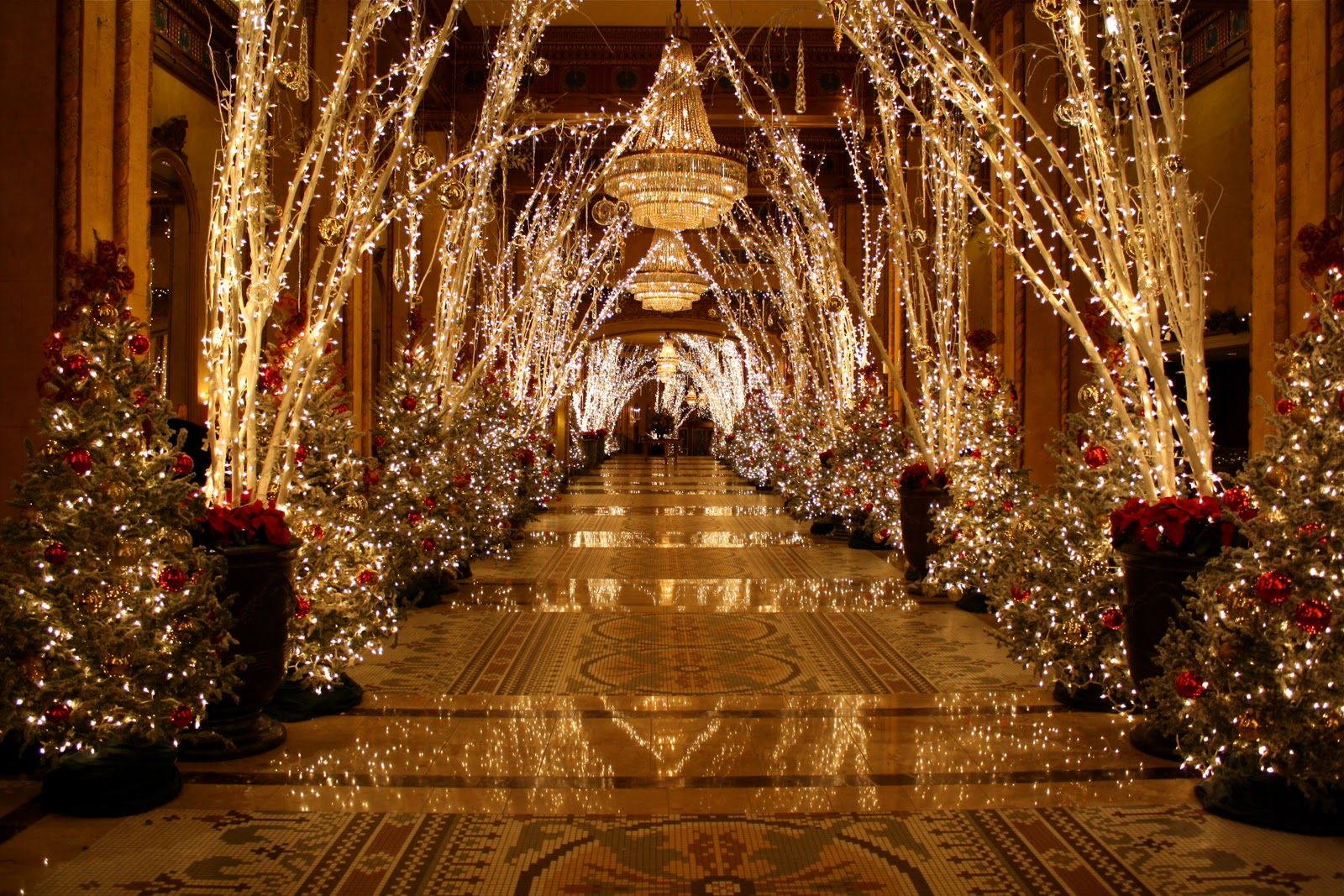 5 Festive Moments: Roosevelt Hotel Christmas Decor Unveiled