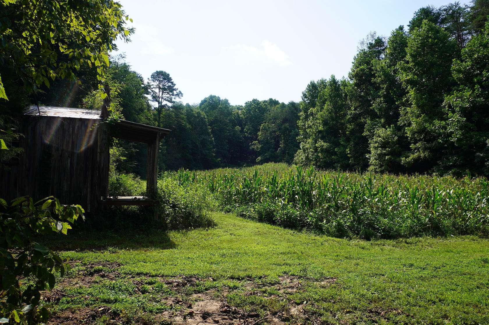 Pleasant View Cemetery, Dutton AL: Decoration Day Schedule