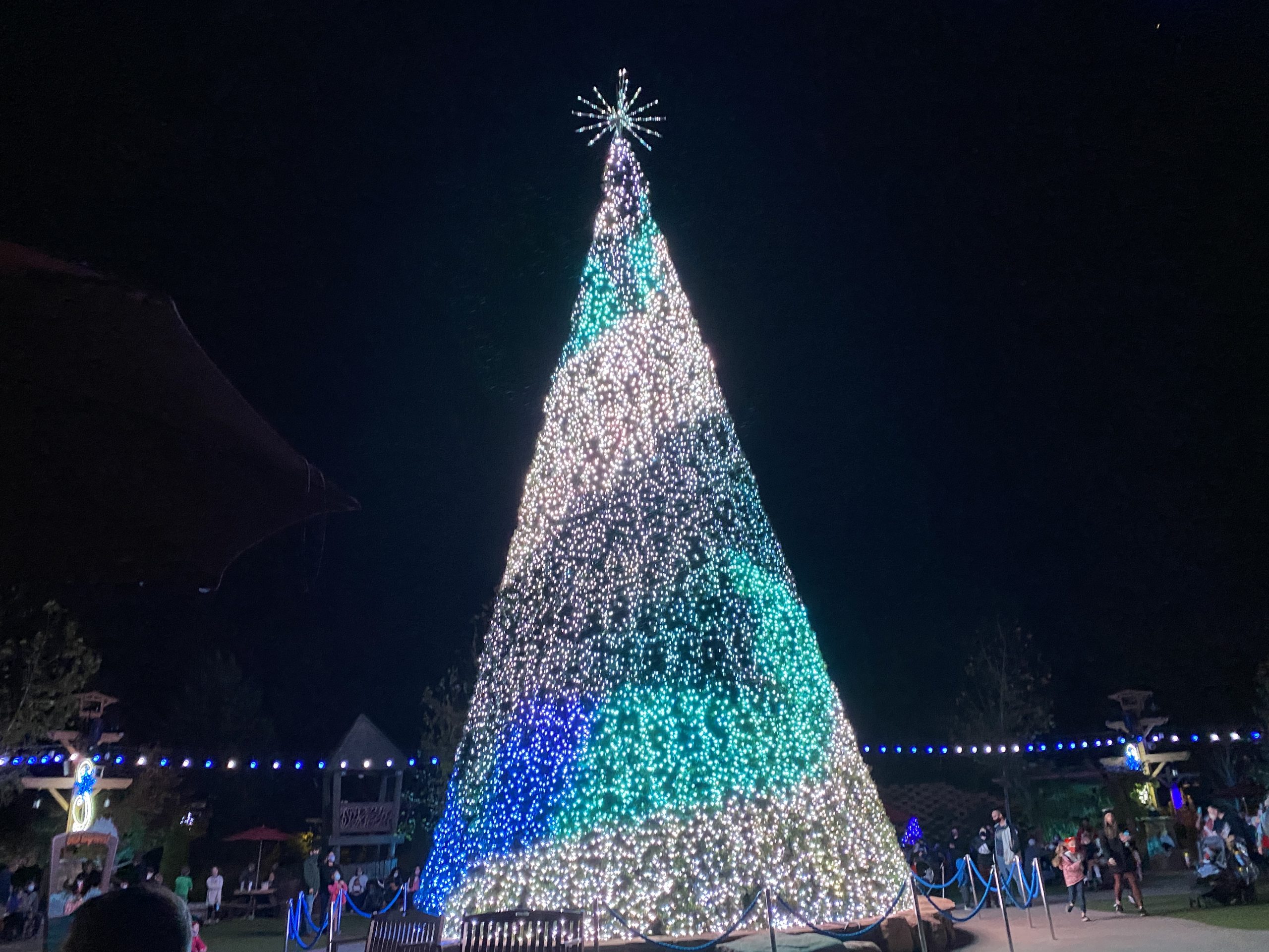 5 Festive Reasons to Visit Dollywood at Christmas