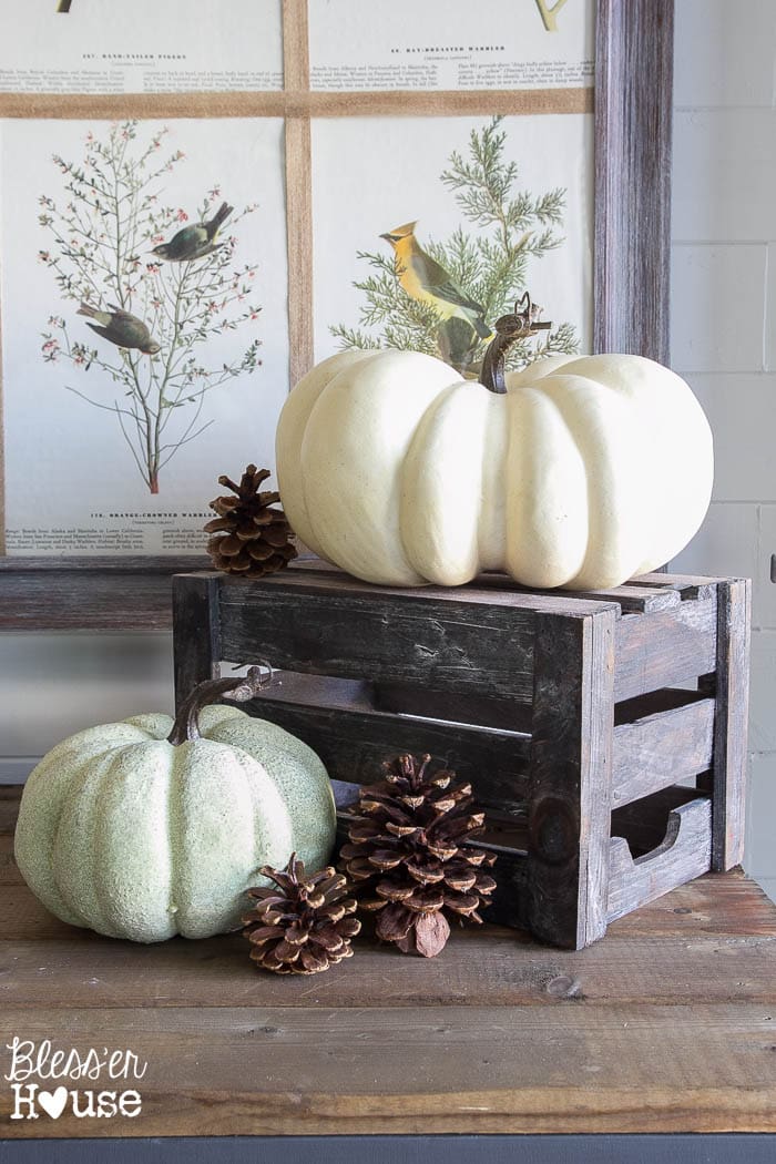 5 Fall Decorating Tips for 2015