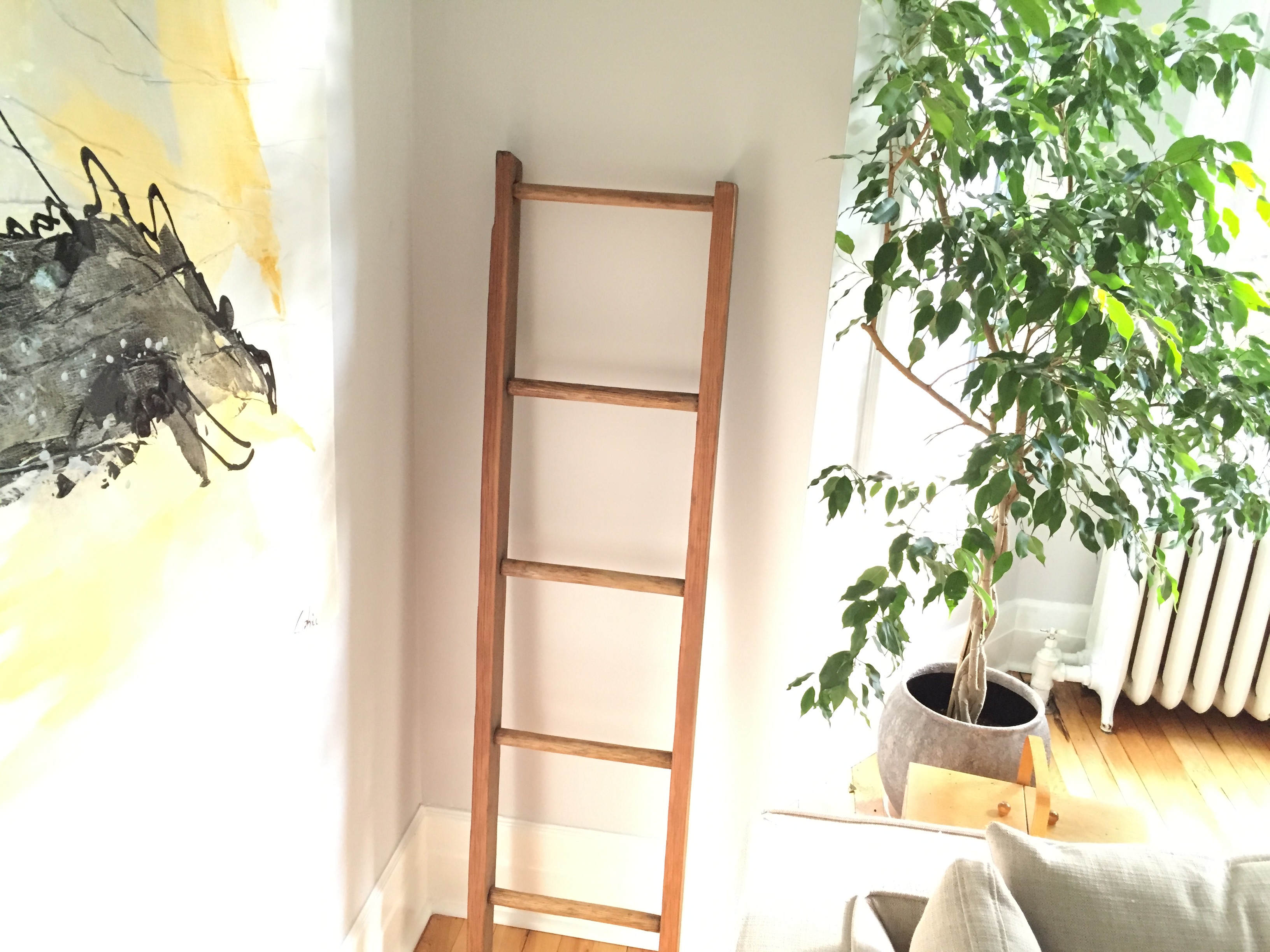 5 Best Stores to Buy Decorative Ladders