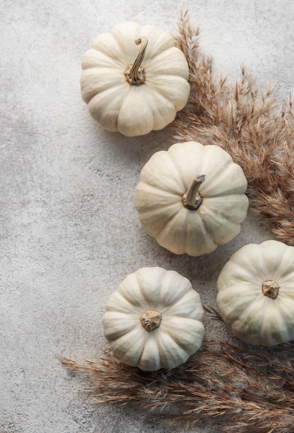 5 Places to Buy Decorative White Pumpkins Now