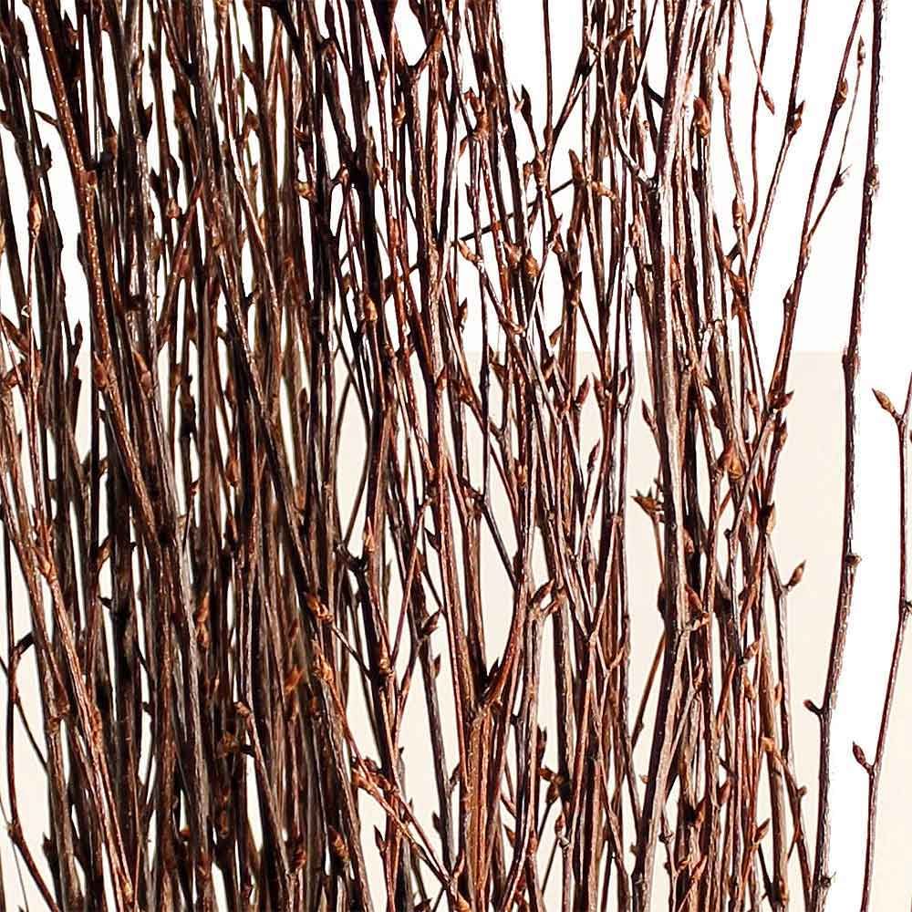 7 Best Places to Buy Decorative Branches Now