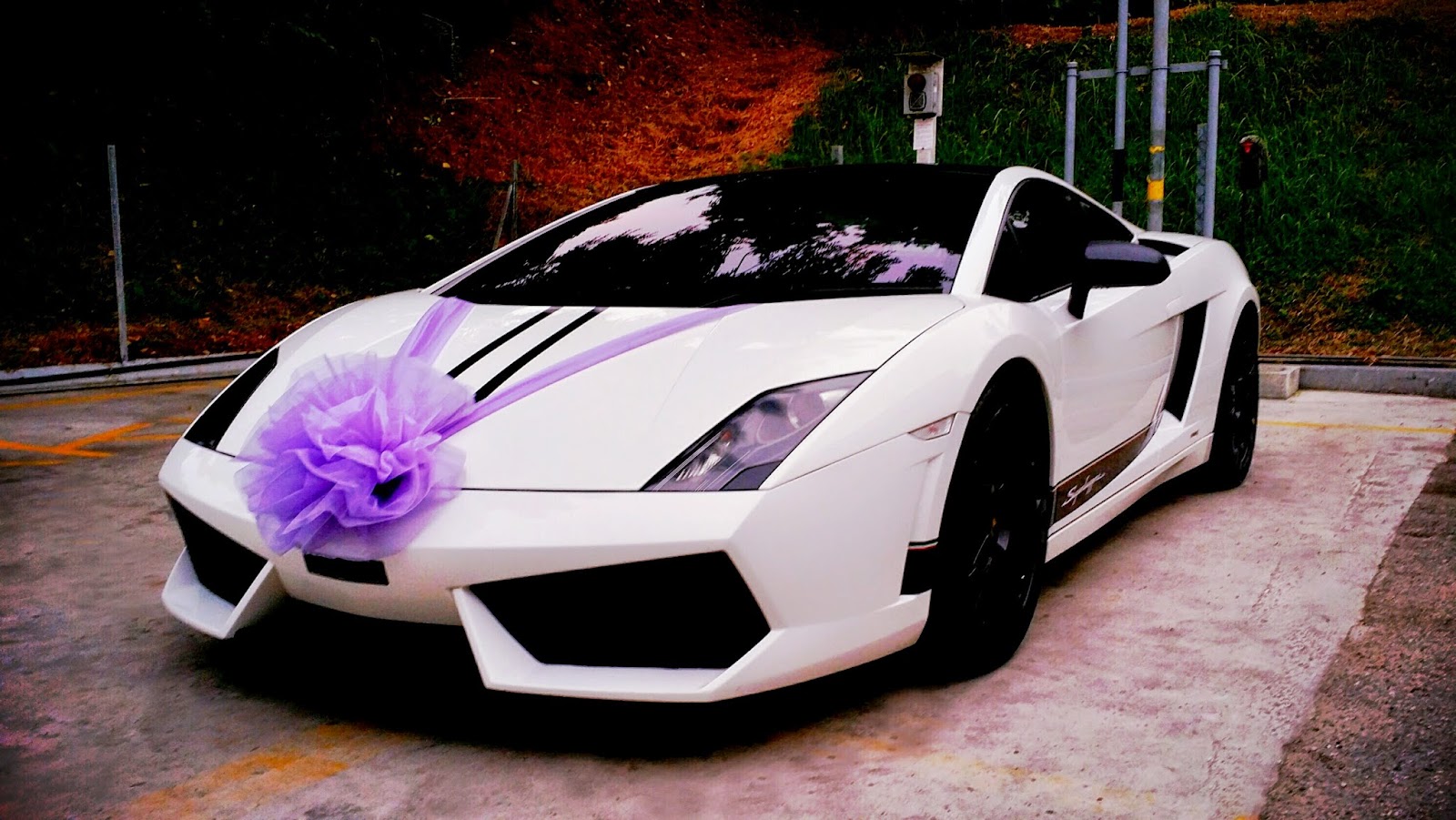 Bridal Car Decorations: Where to Buy Guide