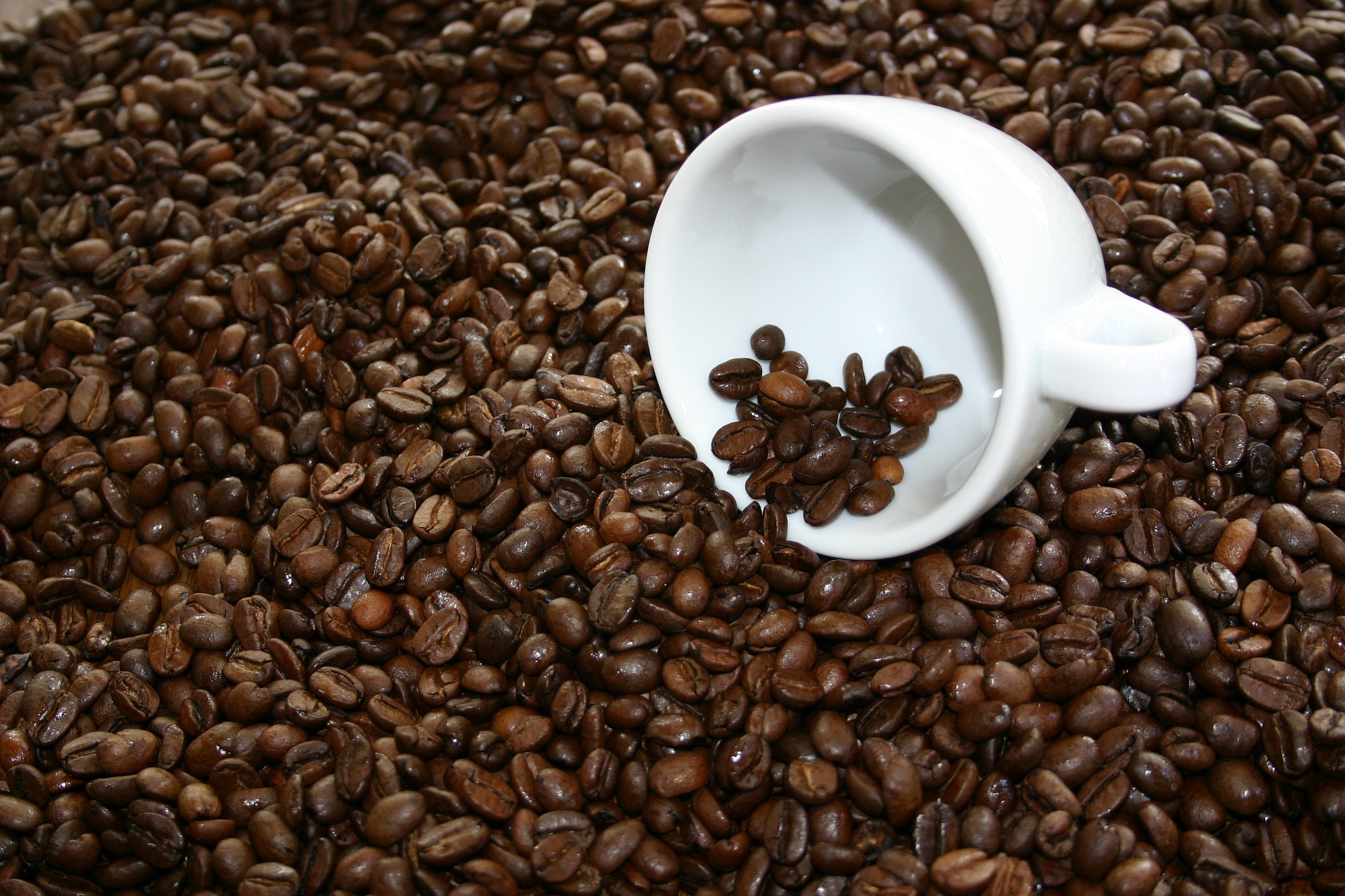 5 Cheap Places to Buy Coffee Beans for Decor