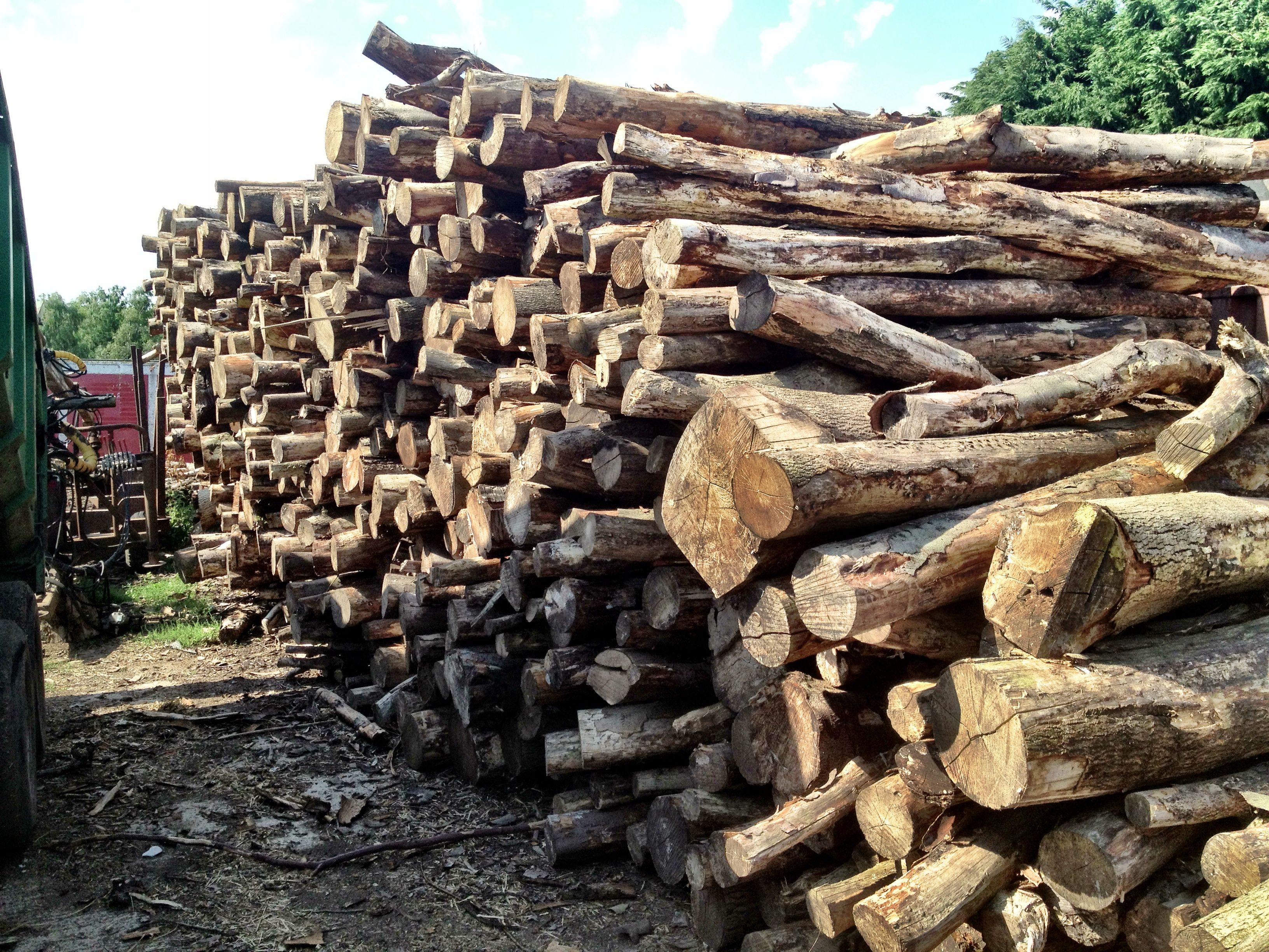 Best Places to Buy Decorative Wood Logs Online