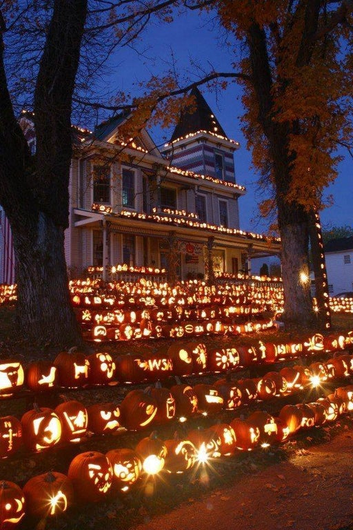 Halloween Decorations: Top Places to Find Them