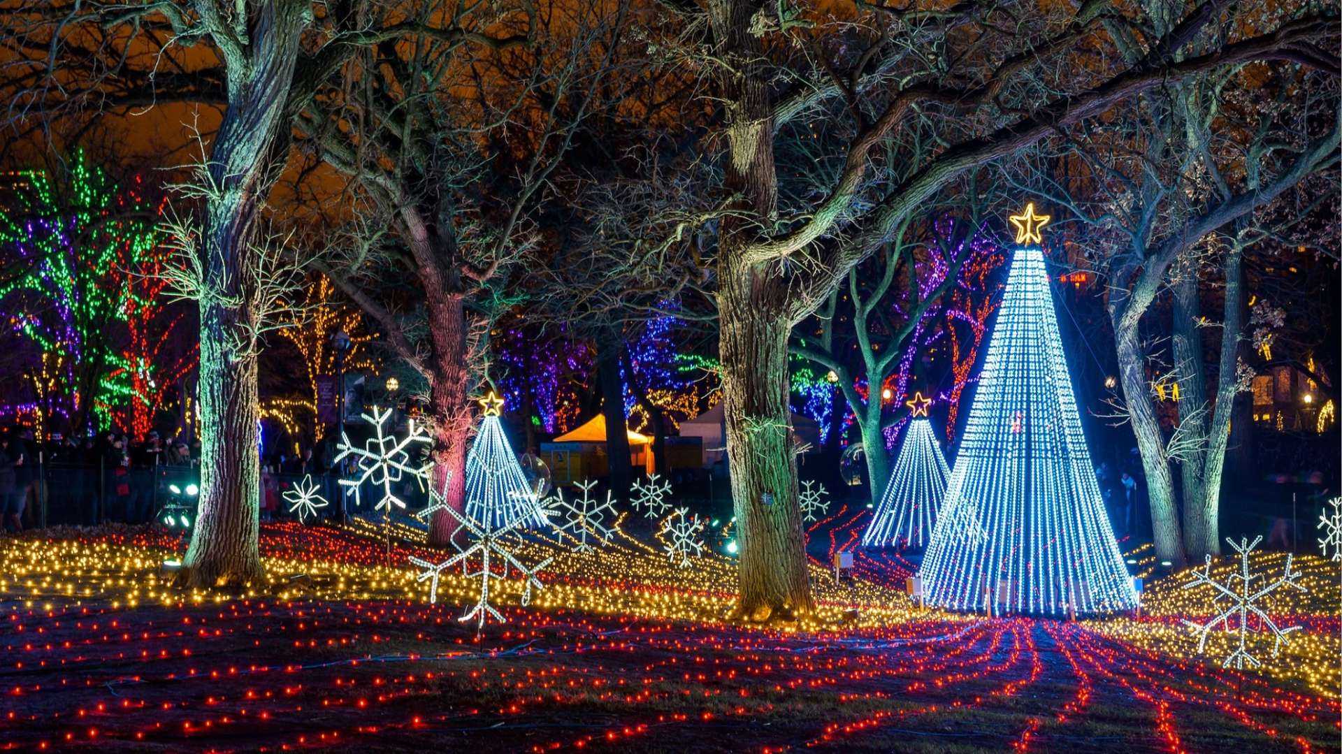 Where To Find The Best Christmas Decorations In Chicago