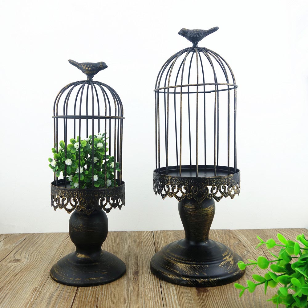 5 Charming Spots for Decorative Bird Cages