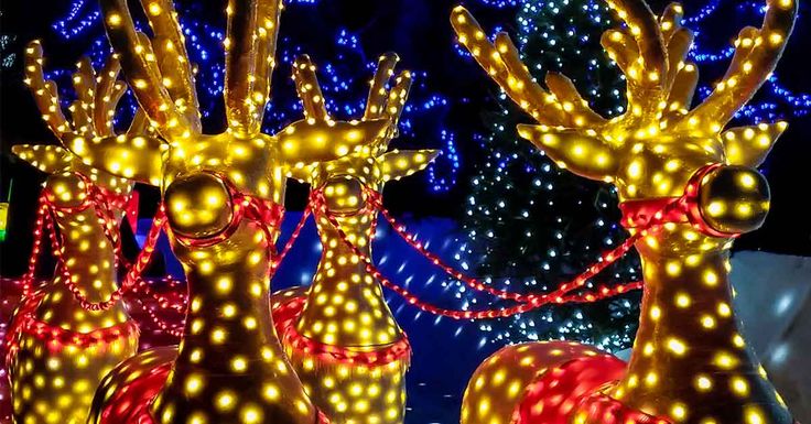 Where To See Winterfest Lights In Pigeon Forge Gatlinburg