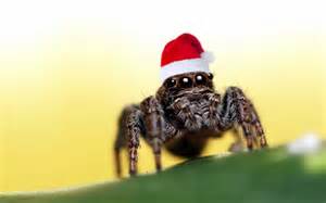 Top 1 Country That Uses Spiders to Decorate Christmas Trees