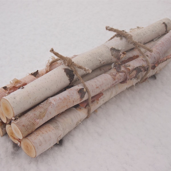 White Birch Logs Etsy