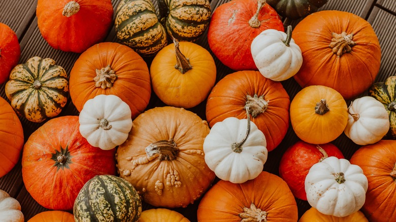 White Pumpkins Are Gorgeous And You Can Eat Them Too The Kitchn